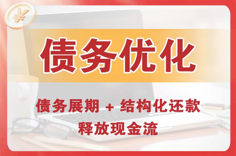 龙安债务优化