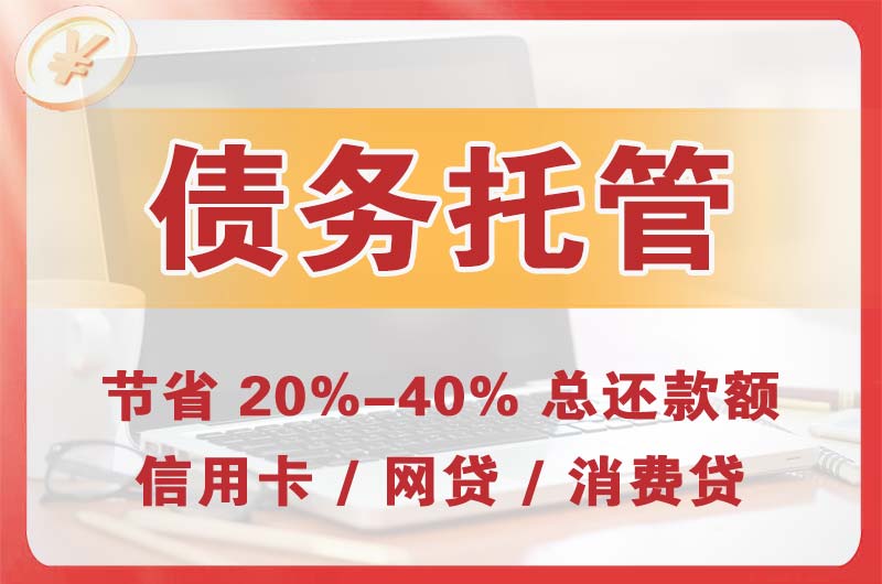 龙安债务托管