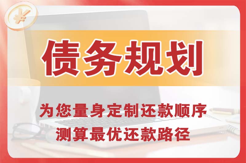 龙安债务规划